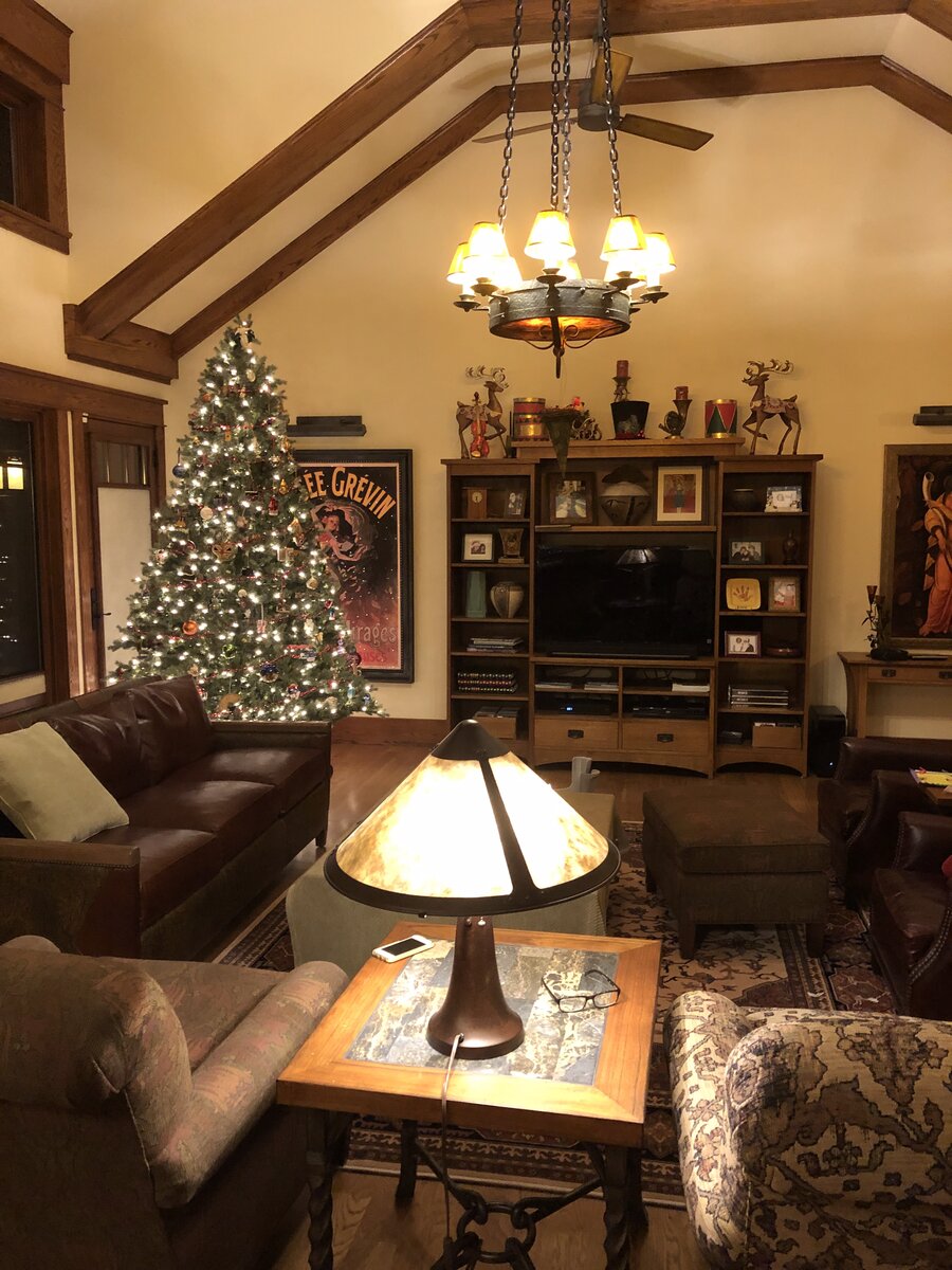 Copper Tree Construction project - Elmhurst area builder